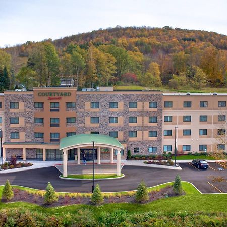 Hotel Courtyard By Marriott Oneonta Exteriér fotografie